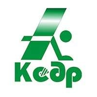 Кедр