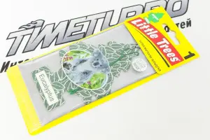 Ароматизатор воздуха Car-Freshner Аромат эвкалипта