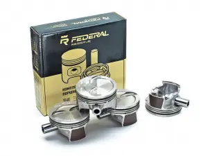 Поршни Federal Reserve 21116 в сборе с пальцами для Лада Калина 2, Приора, Приора 2, Гранта, Гранта FL, Ларгус, Ларгус FL Поршни Federal Reserve 21116 в сборе с пальцами для Лада Калина 2, Приора, Приора 2, Гранта, Гранта FL, Ларгус, Ларгус FL