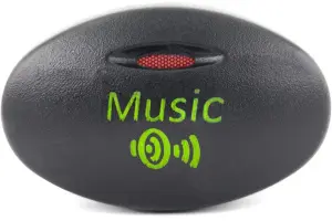 Кнопка пересвеченная Music с индикацией для Лада Калина Кнопка пересвеченная Music с индикацией для Лада Калина