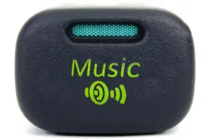 Кнопка пересвеченная Music с индикацией для ВАЗ 2113-2115, Лада Калина, Нива Travel, Шевроле Нива Кнопка пересвеченная Music с индикацией для ВАЗ 2113-2115, Лада Калина, Нива Travel, Шевроле Нива