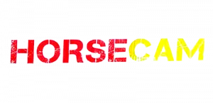 HorseCam