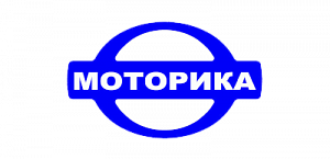 Моторика