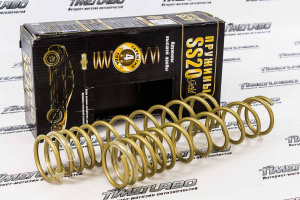 Пружины задней подвески SS20 Gold Progressive холодной навивки, с переменным шагом для ВАЗ 2111, Лада Калина, Лада Приора